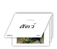 Flash Cards