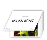 Flash Cards
