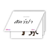 Flash Cards