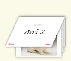 Flash Cards