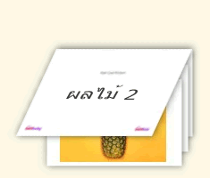 Flash Cards